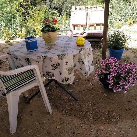 + Cuarto De Bano Privado + Kitchenette Apartment Lloret de Mar